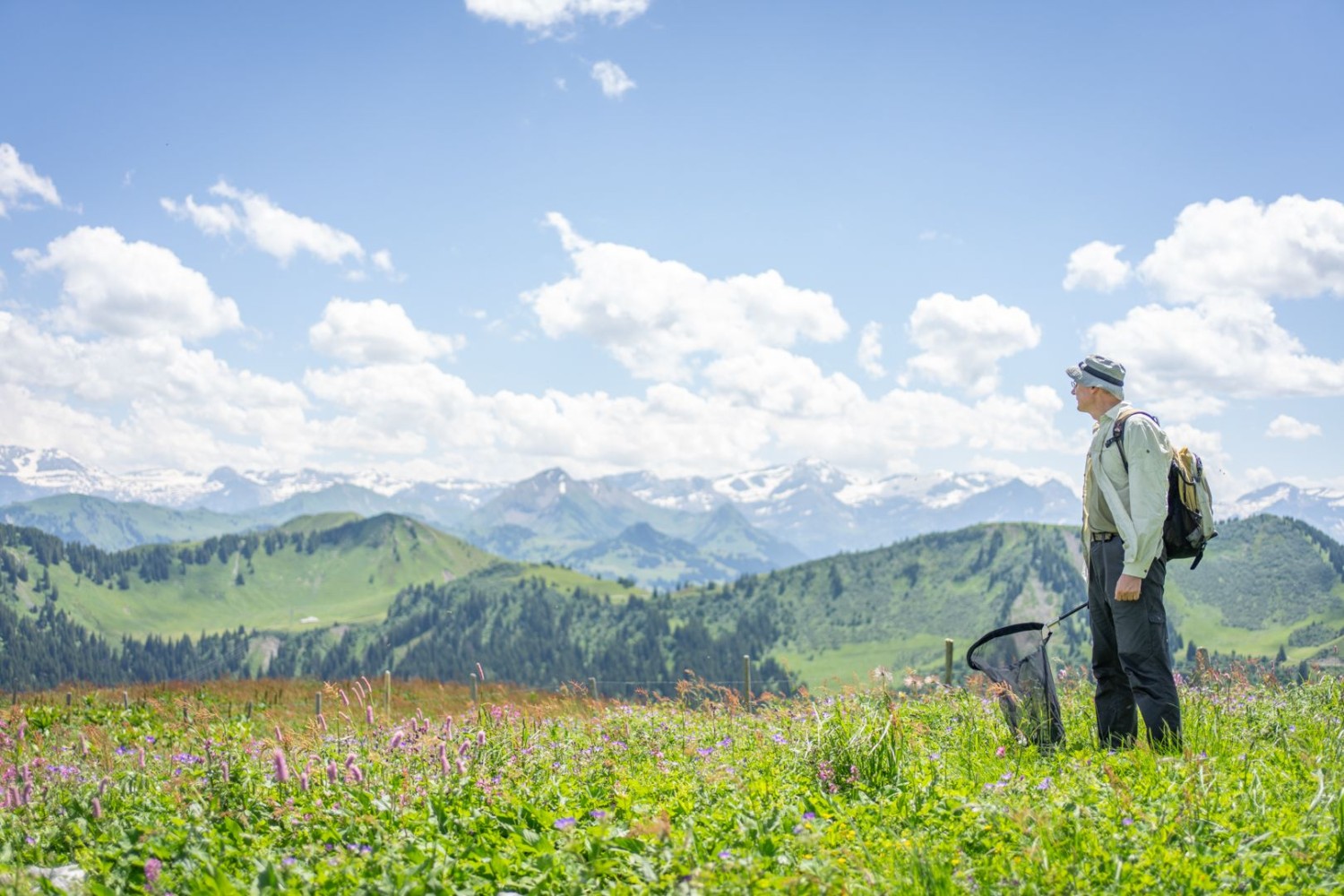 Auf einem Hochplateau mit Blick in die Weite.