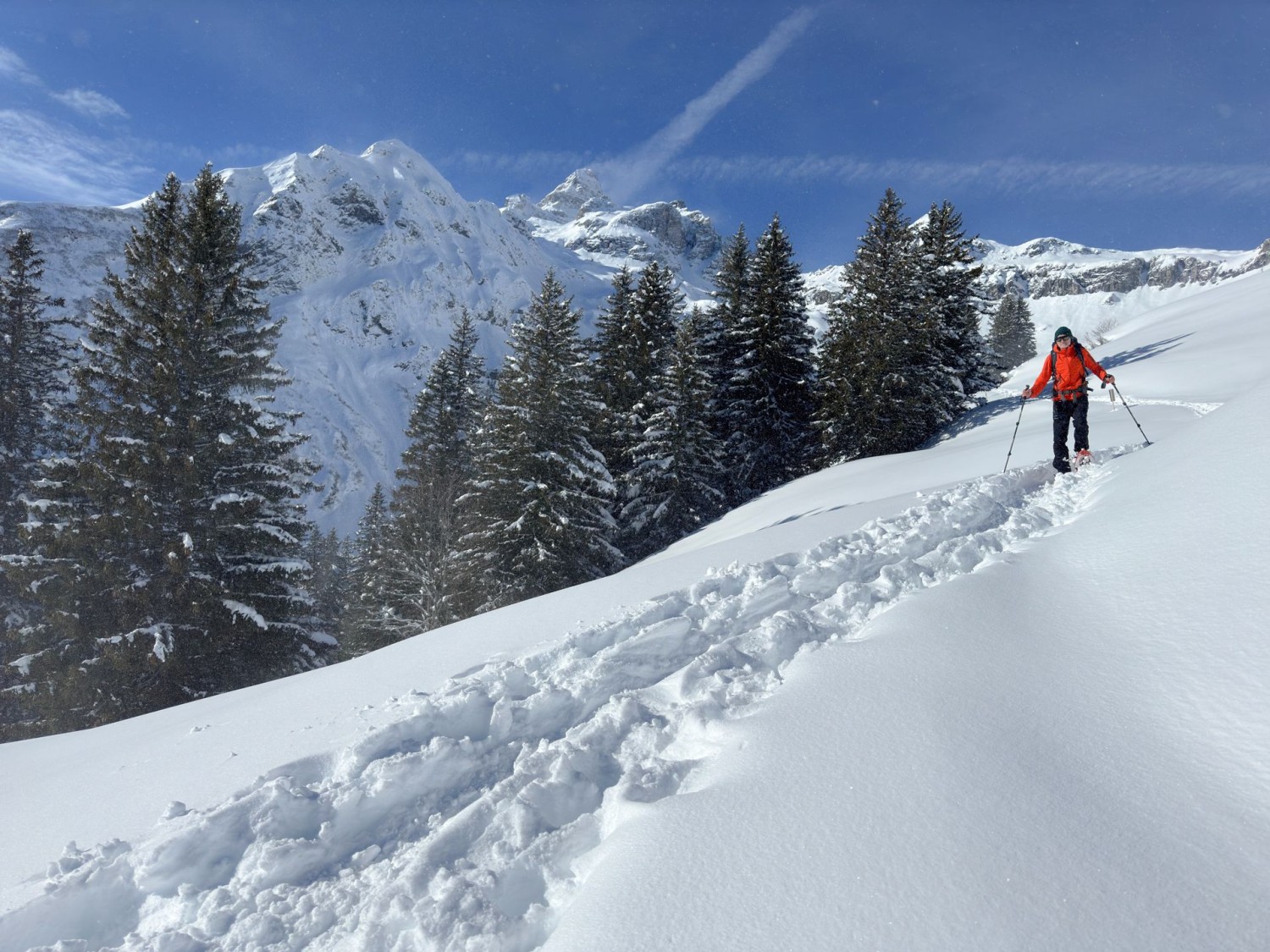 Point d’observation de la faune sauvage. En arrière-plan, le Gross Kärpf